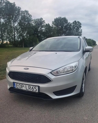 Ford Focus cena 26500 przebieg: 250000, rok produkcji 2015 z Łaszczów małe 67